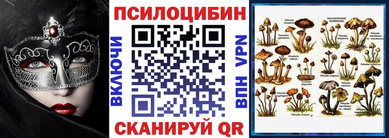купить закладку  Чегем  Галлюциногенные грибы MAGIC MUSHROOMS 